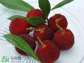 楊梅籽可以吃嗎？吃楊梅籽有什么好處？