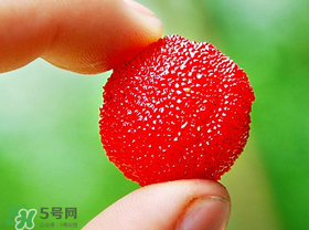 楊梅一天最多吃多少？楊梅一次能吃多少？