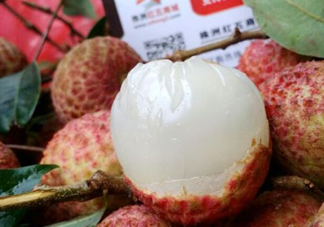 白糖罌荔枝怎樣保果的？白糖罌荔枝和白蠟的區(qū)別