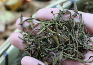 螃蟹腳茶哪些人不能喝？螃蟹腳茶哪些人能喝