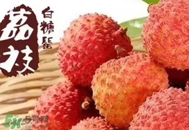 白糖罌荔枝多少錢一斤2017？白糖罌荔枝價格