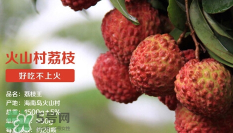 荔枝王是什么品種？荔枝王多少錢一斤2017？