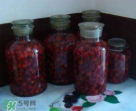 泡楊梅酒用什么瓶子？楊梅酒可以用塑料瓶泡嗎？