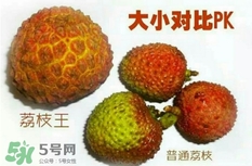 荔枝王好吃嗎？荔枝王和妃子笑的區(qū)別