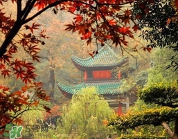 7月份去長(zhǎng)沙穿什么？七月份去長(zhǎng)沙穿什么衣服
