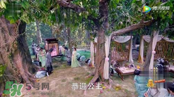 諜紙?zhí)煅酆屯鸂I有什么關(guān)系？
