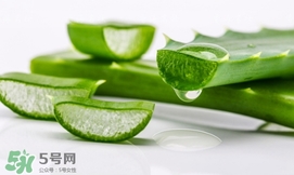 蘆薈面膜要敷多久？蘆薈面膜多久敷一次