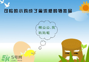 6月有禽流感嗎？2017年6月有禽流感嗎？