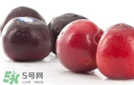 紅布林和黑布林哪個好？紅布林與黑布林的區(qū)別