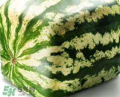 方形西瓜是如何種出來(lái)的？方形西瓜是怎么長(zhǎng)成的