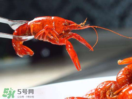 潛江小龍蝦有什么特色？潛江龍蝦節(jié)是每年什么時(shí)候？ 