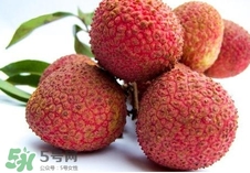 黑葉荔枝和妃子笑哪個(gè)好吃？黑葉荔枝和妃子笑的區(qū)別