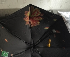 蕉下小黑傘能遮雨嗎？蕉下太陽傘能淋雨嗎？