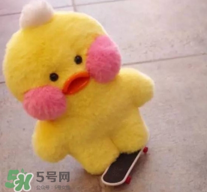 玻尿酸鴨哪里可以買到？一個玻尿酸鴨多少錢？