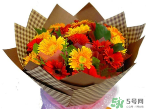 父親節(jié)可以送花嗎？父親節(jié)送什么花最合適？