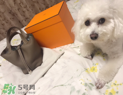 菜籃子包是什么牌子？菜籃子包是哪個(gè)品牌的？