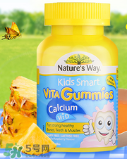 Nature's Way好嗎 Nature's Way保健品怎么樣？