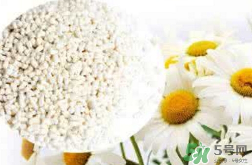 菊花晶是熱性還是涼性？菊花晶嬰兒可以喝嗎？