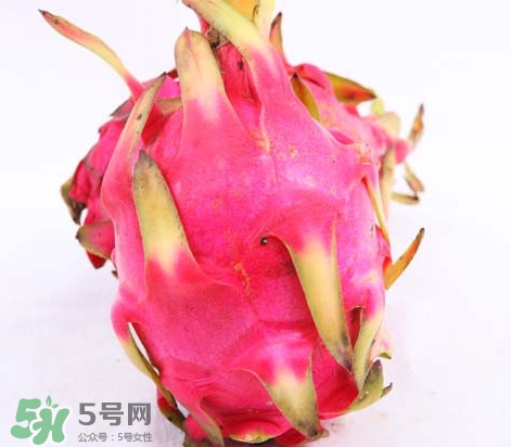 火龍果是酸性還是堿性？火龍果盆栽種植方法