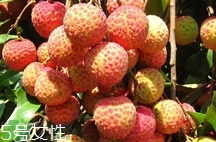 雞嘴荔枝多少錢一斤2017？香山雞嘴荔枝什么價錢
