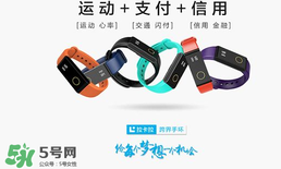 拉卡拉手環(huán)多少錢？拉卡拉手環(huán)價(jià)格