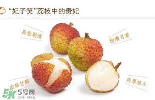 貴妃荔枝是哪里的？貴妃荔枝的產(chǎn)地是哪里