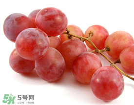 提子上的白色是什么？提子外面白色的是什么？
