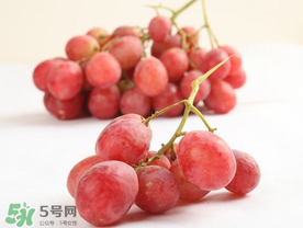 提子上的白色是什么？提子外面白色的是什么？