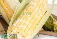 水果玉米多少錢(qián)一斤2017？水果玉米市場(chǎng)價(jià)格