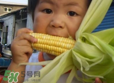 水果玉米是甜玉米嗎？水果玉米和甜玉米的區(qū)別
