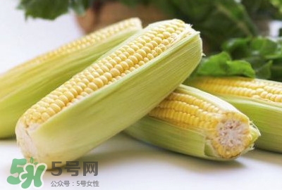 水果玉米可以多吃嗎？吃水果玉米有什么好處