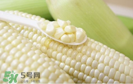 糯玉米是轉(zhuǎn)基因嗎？糯玉米是不是轉(zhuǎn)基因