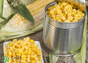 新鮮水果玉米怎么保存？水果玉米怎么儲(chǔ)存
