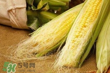 玉米須煮水可以去黃疸嗎？玉米須能去新生兒黃疸嗎