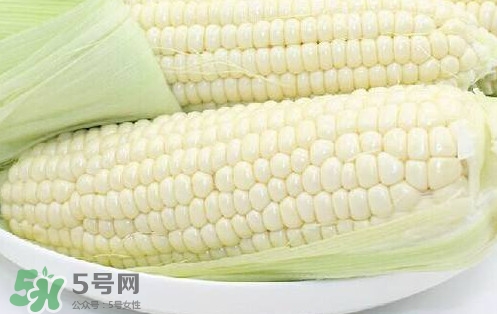 水果玉米多少錢(qián)一斤2017？水果玉米市場(chǎng)價(jià)格