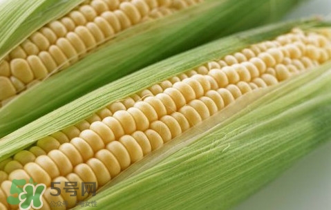 水果玉米熱量高嗎？一根水果玉米的熱量是多少