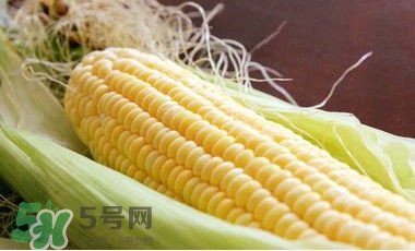水果玉米可以多吃嗎？吃水果玉米有什么好處