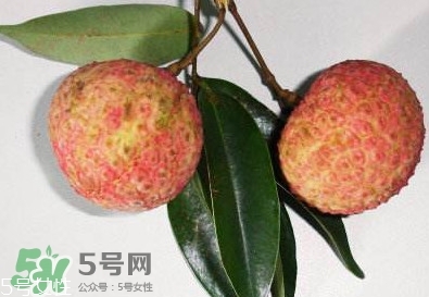 雞嘴荔枝多少錢一斤2017？香山雞嘴荔枝什么價錢