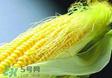 玉米須怎么吃降血糖？玉米須如何降血糖