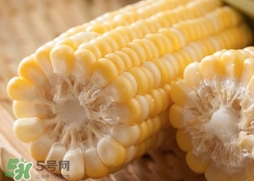 水果玉米多少錢(qián)一斤2017？水果玉米市場(chǎng)價(jià)格