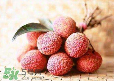 貴妃荔枝是哪里的？貴妃荔枝的產(chǎn)地是哪里
