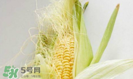 玉米須煮水可以去胎毒嗎？去胎毒玉米須水怎么煮