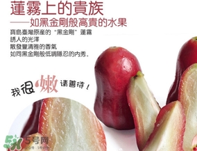 黑金剛蓮霧好吃嗎？黑金剛蓮霧多少錢(qián)一斤2017？