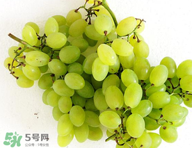 青提什么時(shí)候成熟？青提什么時(shí)候上市？