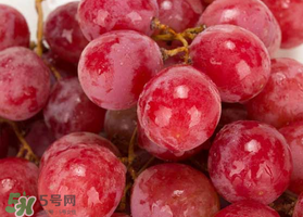 提子什么季節(jié)成熟？提子什么時(shí)候上市？