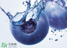 藍(lán)莓熱量高嗎？藍(lán)莓醬熱量高嗎？