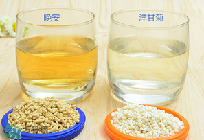 美林菊花晶一天喝幾次？美林菊花晶一天喝多少？