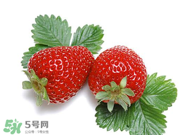 夏天有草莓嗎？夏天草莓結(jié)果嗎？