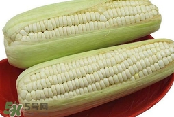 糯玉米怎么保存時(shí)間長？新鮮的糯玉米如何保存