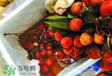 荔枝為什么要用藥水泡？荔枝藥水浸泡是否安全？
